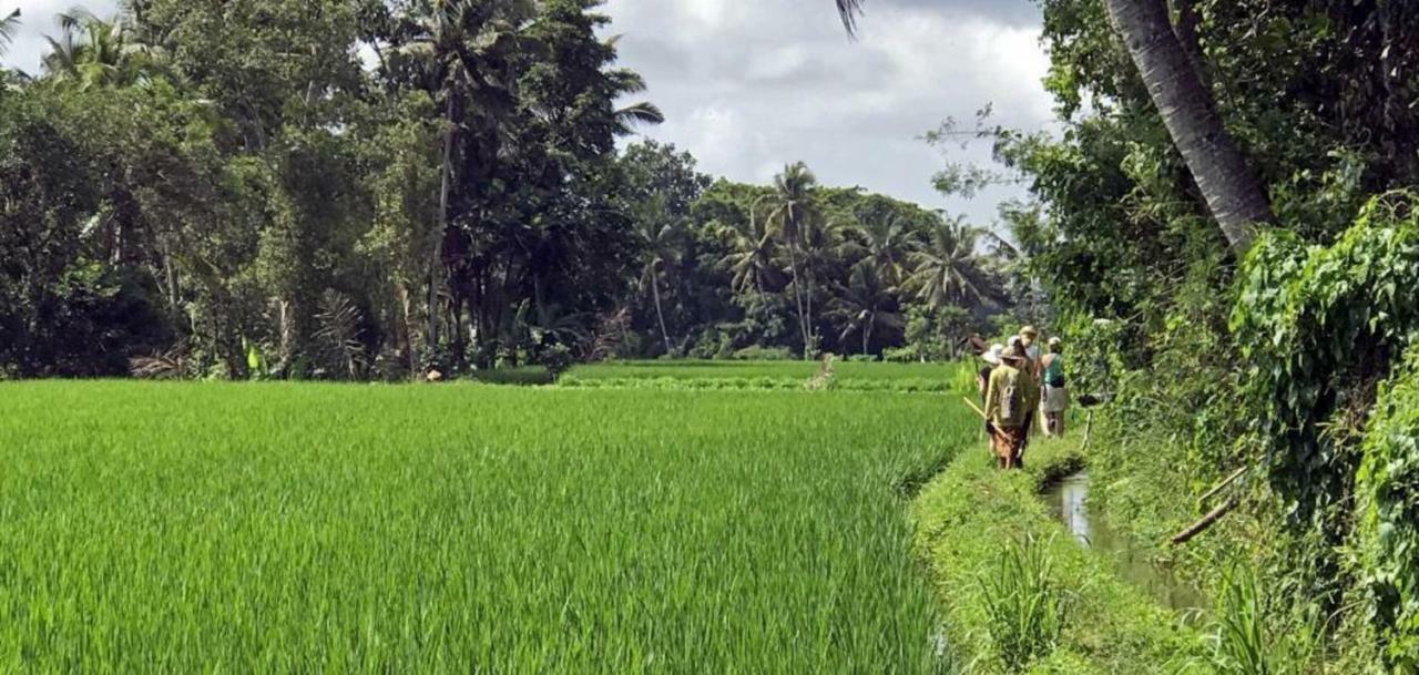 Hotel Kubu Jamu Ubud Esterno foto